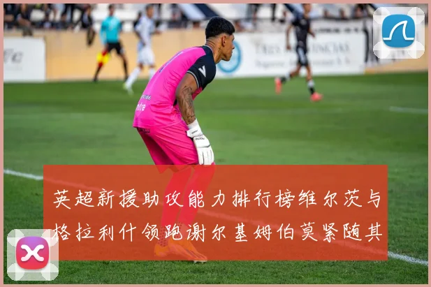 英超新援助攻能力排行榜维尔茨与格拉利什领跑谢尔基姆伯莫紧随其后