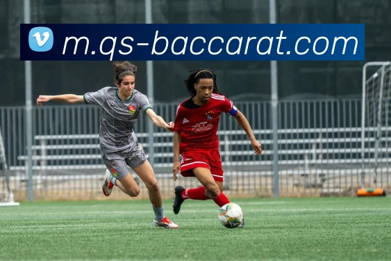 百家乐网站平台生态图