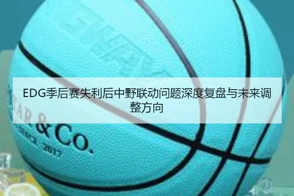 EDG季后赛失利后中野联动问题深度复盘与未来调整方向（BaccaraGaming）